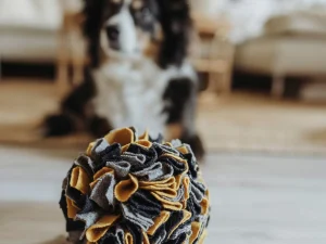 Dé snuffelbal voor honden – Speelplezier & uitdaging