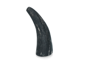 Viking Horn